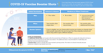 Vaccine Booster Chart